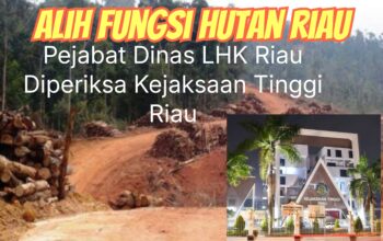 Sejumlah Pejabat Dinas LHK Riau Diperiksa Kejaksaan Tinggi Riau Terkait Alih Fungsi Hutan