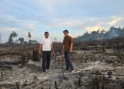 Polsek Kuantan Mudik Ungkap Kasus Pembakaran dan Pendudukan Kawasan Hutan Lindung di Kuansing