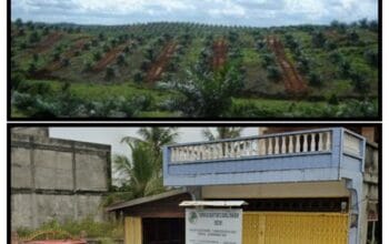 Koperasi BBDM Dinilai Penuh Konflik Kepentingan, Dugaan Jual Beli Lahan Dan Nepotisme