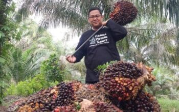 Kanwil DJP Riau Catat Penerimaan Pajak 2024 Tembus Rp 23,23 Triliun