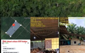 Kejati Riau diminta Segera Bongkar Dugaan Kejahatan Kehutanan di Kampar: Sikat Mafia dan Peron Tak Berizin