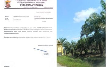 Diduga Kuasai 100 Hektar Kebun Sawit Tanpa Izin , Ketua PMN Akan Laporkan SU KeKejaksaan Agung