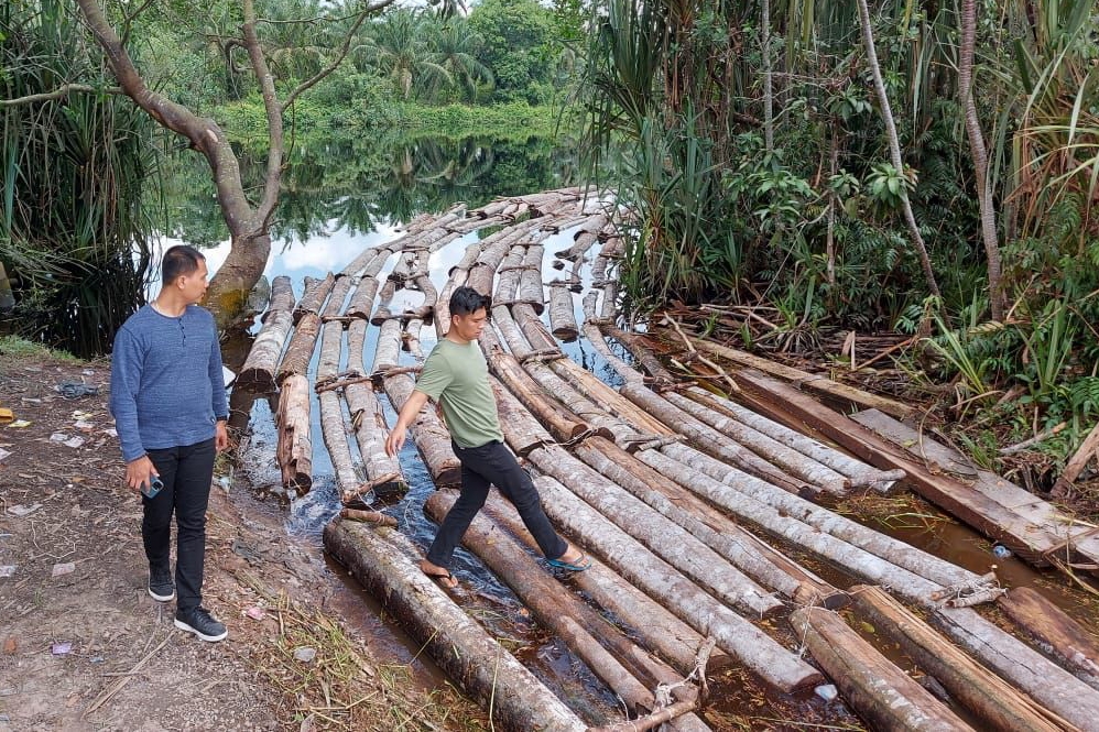 10-ton-kayu-illegal-logging-hasil-j Yayasan Tesso Nilo: Dibalik Topeng Konservasi, Operator Kolonialisasi Korporasi?"