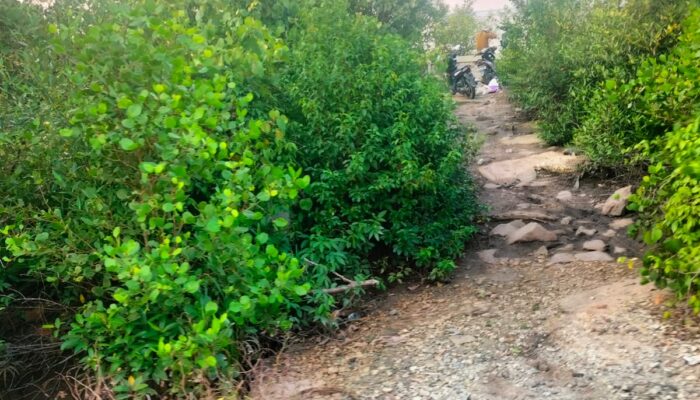 IMG-20250701-WA0006-700x400 Kawasan Pertamina di Sungai Pakning Disalahgunakan: Warga Desak Penertiban Sarang Asusila