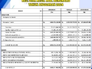 Dugaan Penyimpangan Dana Desa Tanjung Datuk Bengkalis, Kejanggalan Laporan Keuangan Terkuak