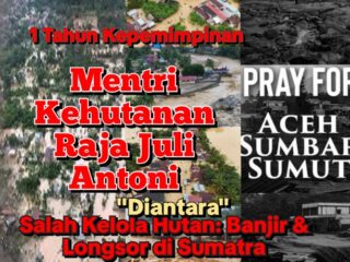 Satu Tahun Raja Juli Antoni Antara Kebijakan dan Salah Kelola Hutan