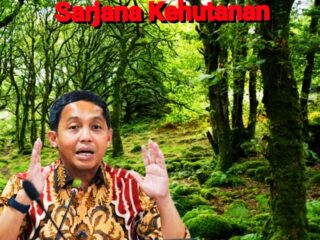 Banjir Bandang Sumatera: Hilirisasi Kayu, Sistem Izin Cepat: Rekam Jejak yang Tak Bisa Disangkal