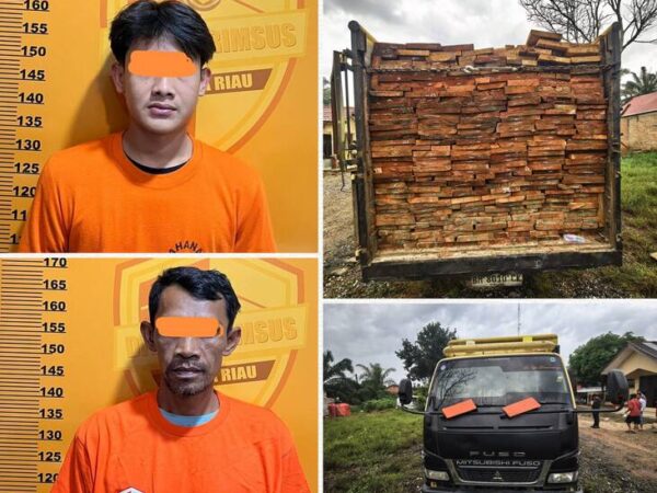 SATU GARIS Dukung Tindakan Tegas Polda Riau Bongkar Rantai Kayu Ilegal