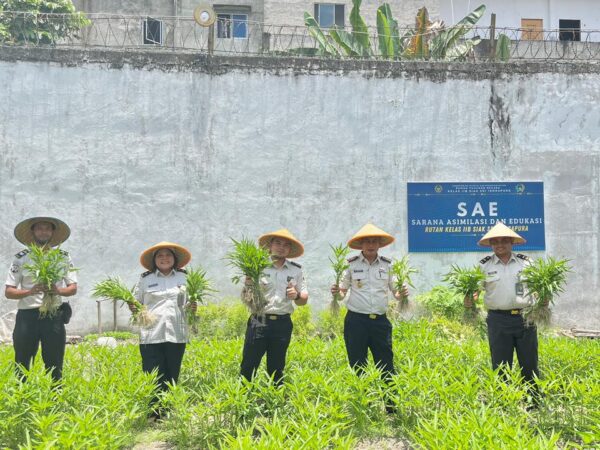 Karutan Dedy Krihastoni Pimpin Panen Kangkung di Rutan Siak, Wujud Pembinaan Kemandirian Warga Binaan