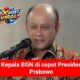 Prabowo Copot Kepala BGN, Nanik S. Deyang Ditunjuk Gantikan Dadan Hindayana