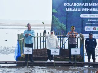 Peringati Hari Mangrove Sedunia, Kasmarni Ajak Masyarakat Tanam Mangrove