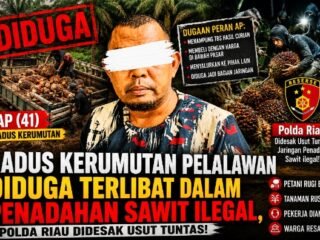 Kadus Kerumutan Pelalawan Diduga Terlibat dalam Penadahan Sawit Ilegal, Polda Riau Didesak Usut Tuntas