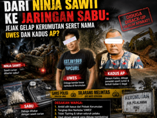 Dari Ninja Sawit ke Jaringan Narkoba: Jejak Gelap Kerumutan Seret Nama UWES dan Kadus AP?