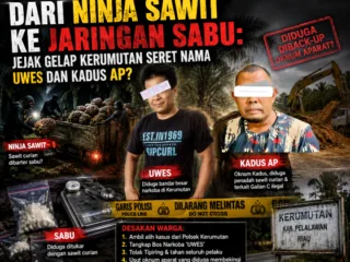 Dari Ninja Sawit ke Jaringan Narkoba: Jejak Gelap Kerumutan Seret Nama UWES dan Galian C Kadus AP?