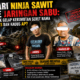 Dari Ninja Sawit ke Jaringan Narkoba: Jejak Gelap Kerumutan Seret Nama UWES dan Kadus AP?