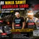 Dari Ninja Sawit ke Jaringan Narkoba: Jejak Gelap Kerumutan Seret Nama UWES dan Galian C Kadus AP?