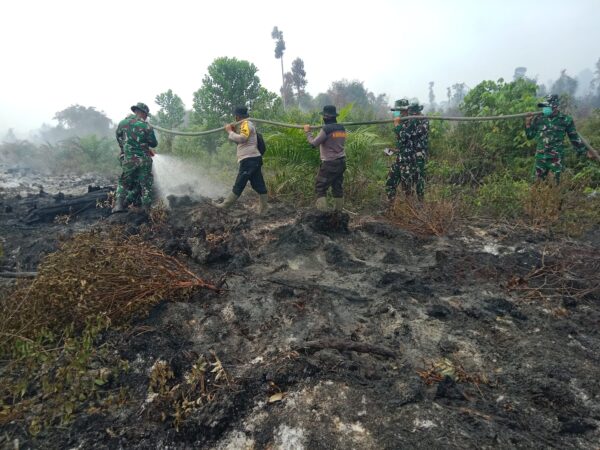 471,39 Hektare Terdampak Karhutla Inhu, Tim Gabungan Tembus Kawasan Hutan Kejar Titik Api