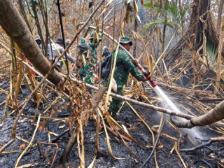 Karhutla 471,39 Hektare di Hutan Penyangga Rengat Belum Usai, Kodam XIX/Tuanku Tambusai Kejar Titik Asap