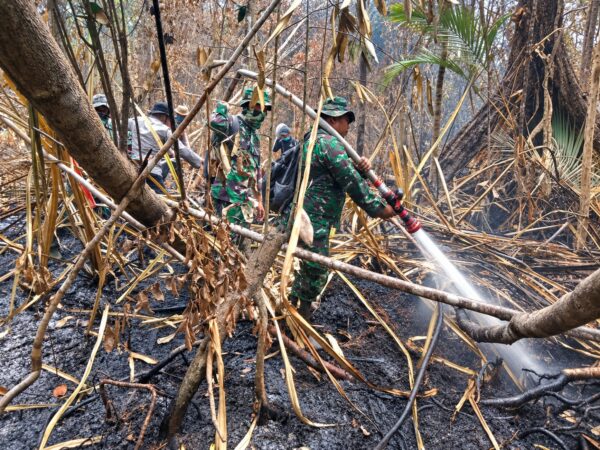 Karhutla 471,39 Hektare di Hutan Penyangga Rengat Belum Usai, Kodam XIX/Tuanku Tambusai Kejar Titik Asap