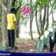 Misteri Mayat Tergantung di Kawasan Unri, Sejumlah Kejanggalan Perlu Diungkap