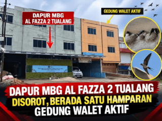 Dapur MBG Al Fazza 2 Tualang Disorot, Berada Satu Hamparan Gedung Walet Aktif