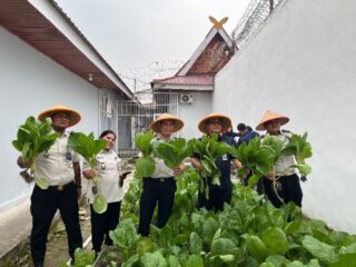 Dukung Ketahanan Pangan, Kakanwil Ditjenpas Riau Turut Serta dalam Panen Sawi di Rutan Siak
